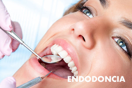 Dra. Grisoski - Endodoncia